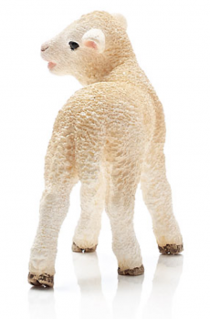 Preview: Artikelbild